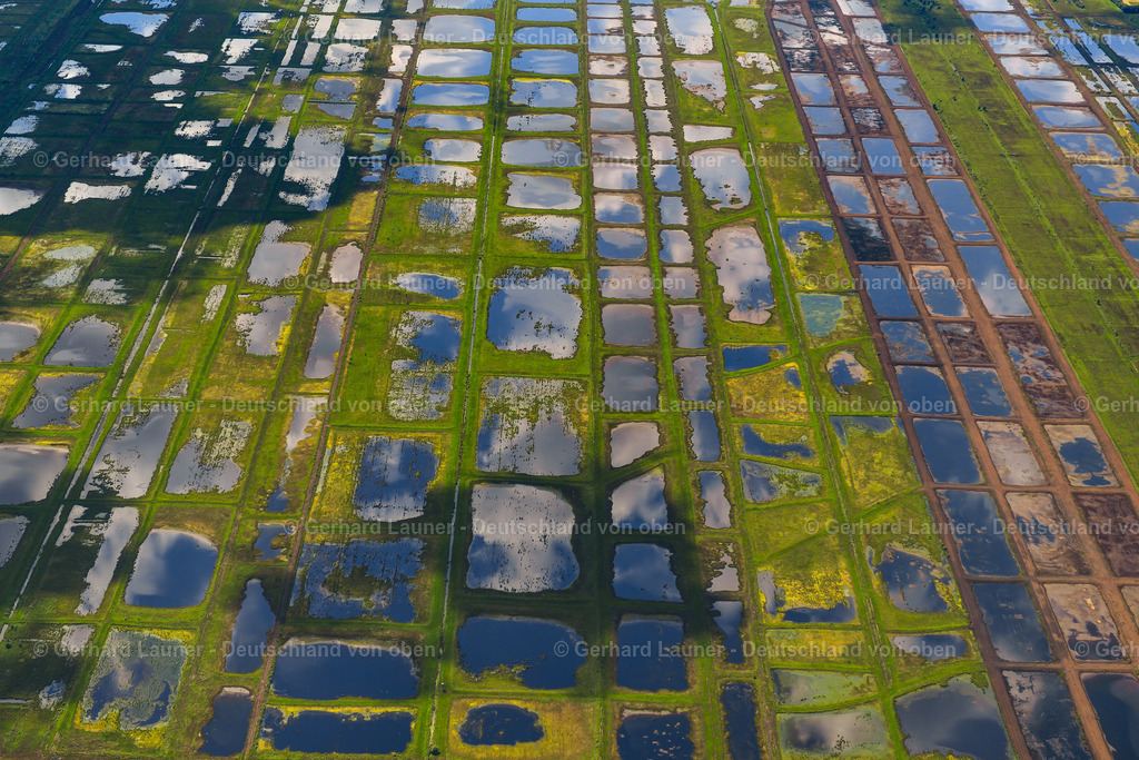 3620925 | Stapeler Moor
