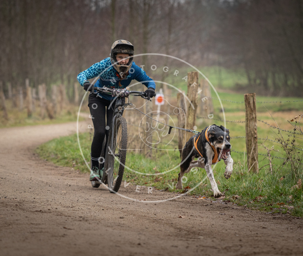 Pfotenfotografie_DV3A2270 | Hundefotografie, Tierfotograf, Pfotenfotografie, Fotoshooting Hund, Hunde Portrait, Hundesport, Hundeportraits, Heideshooting, Hunde, Sportfotograf, Hundefotograf, Turnierhundsport, THS,  - Realisiert mit Pictrs.com
