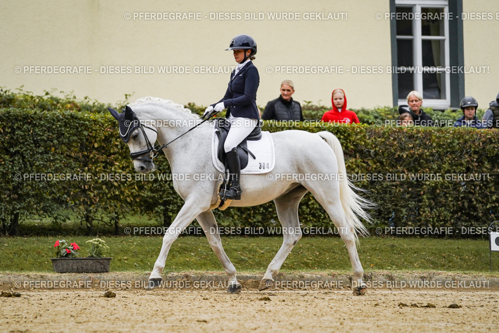 DSC06595 | Pferdegrafie