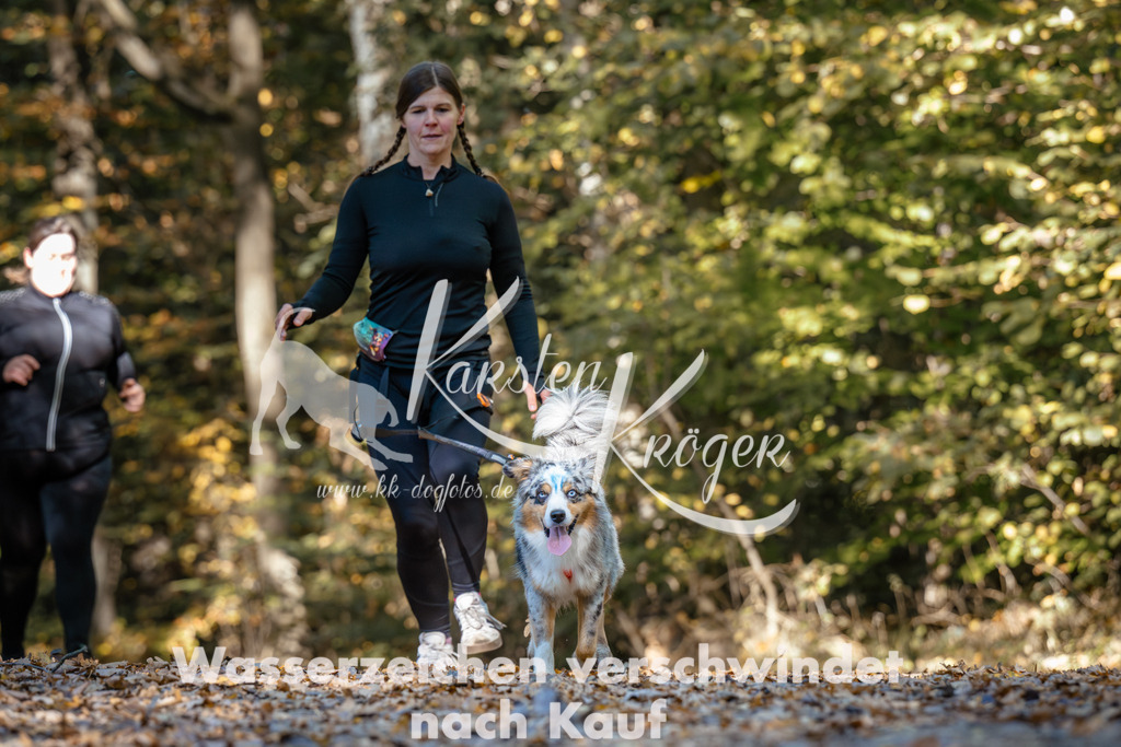 1118_ZZ91950 | kk-dogfotos