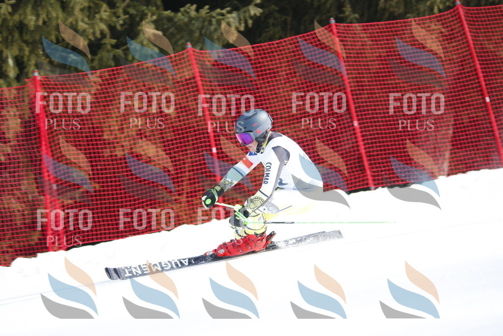 D7539 | holidayphoto