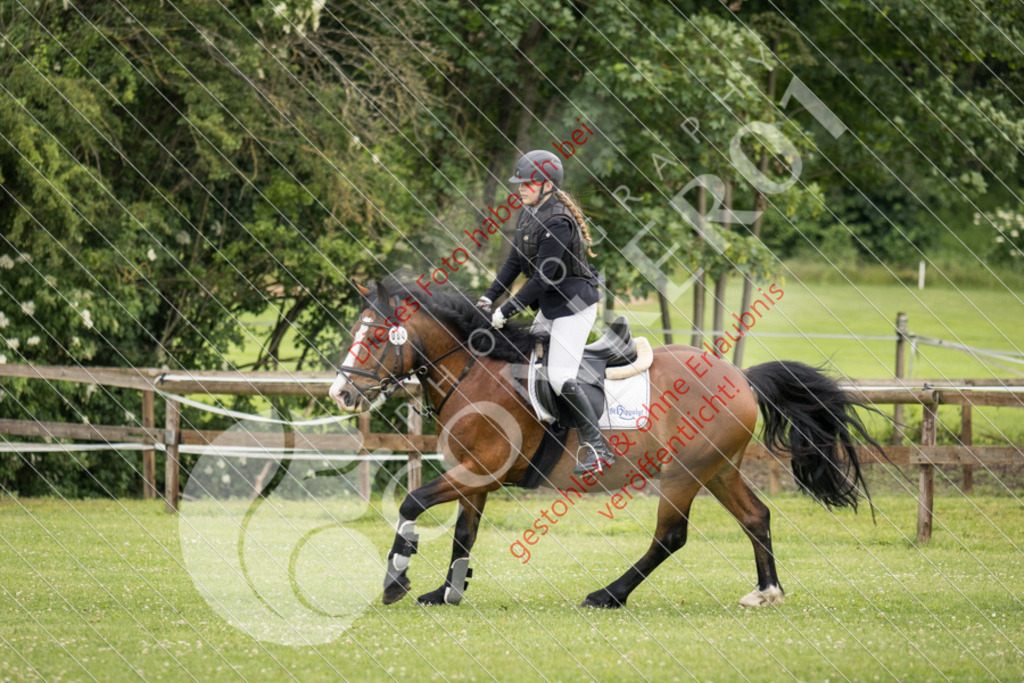 IMG_2287 | Sport-, Event- und Tierfotos in Profiqualität. Einfach auswählen, bestellen und herunterladen. Dein Moment – perfekt festgehalten.