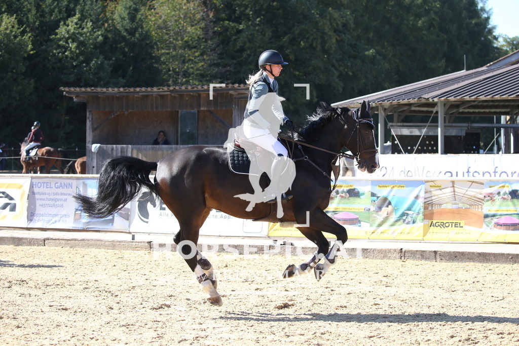 DL2Q2818 | Willkommen bei Brunnmayr - Design & Fotografie – Ihrem Spezialisten für Reitturniere und Pferdeveranstaltungen in Oberösterreich, Salzburg und Bayern! Seit über 17 Jahren sind wir leidenschaftlich dabei.