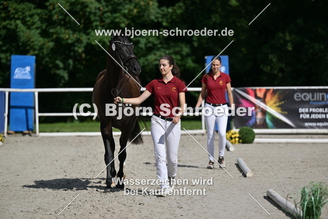 71_Daria von Donier - Vivaldi_942_9941 | Björn Schroeder Pferdefotografie