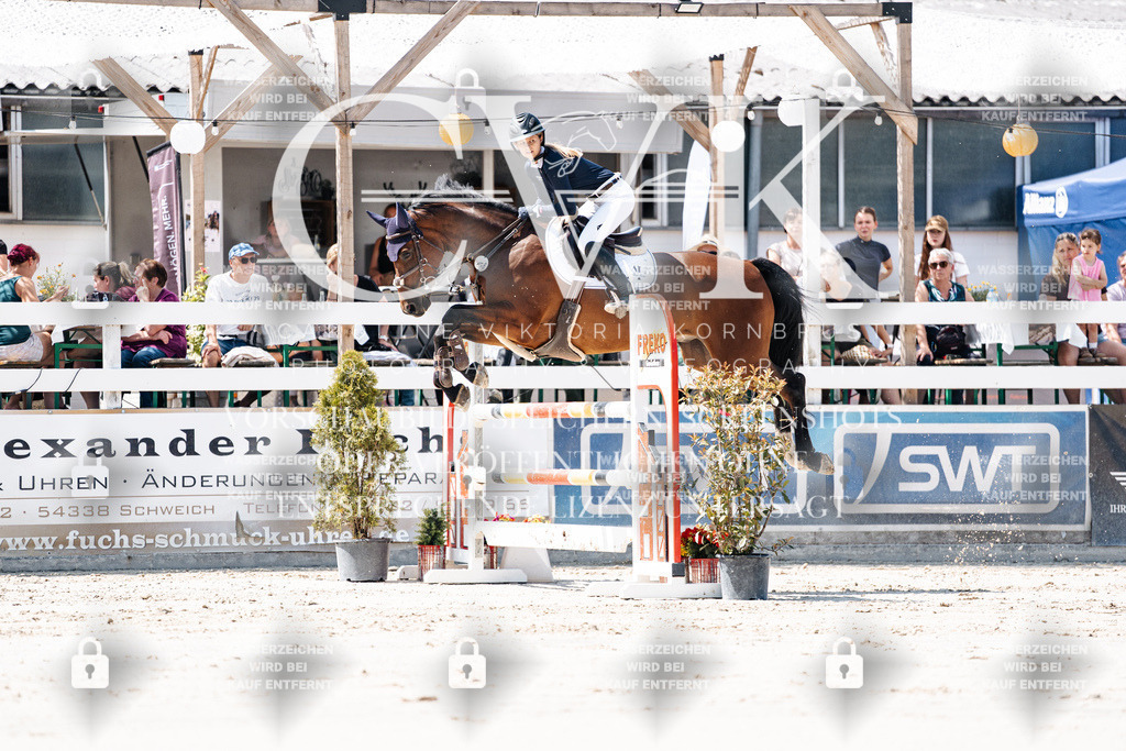 CK909570 | Turnierfotografie Pferdefotografie Trier Rheinland-Pfalz Pferdesport Reitsport Tierfotografie Sportfotografie Pferdevideo Pferdevideografie Equestrianvideography equestrianphotography  - Realisiert mit Pictrs.com