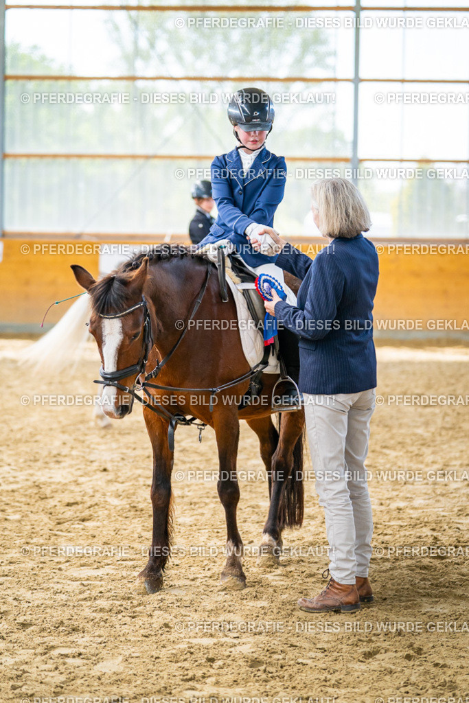 DSC01174 | Pferdegrafie