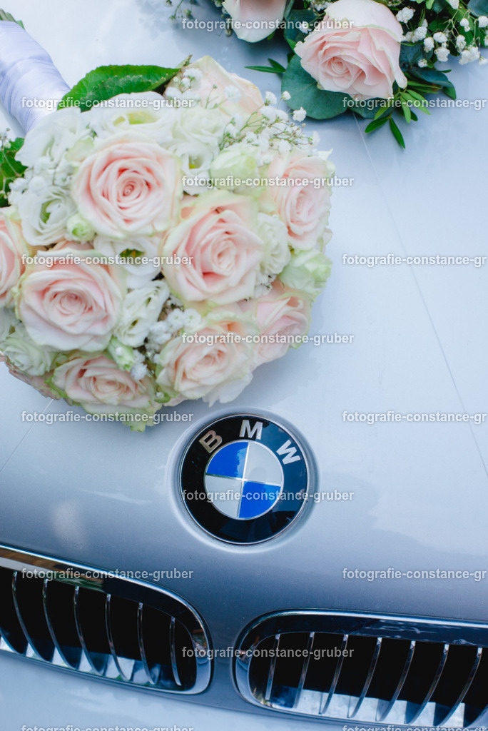 1008 | Fotografie Constance Gruber - Realisiert mit Pictrs.com