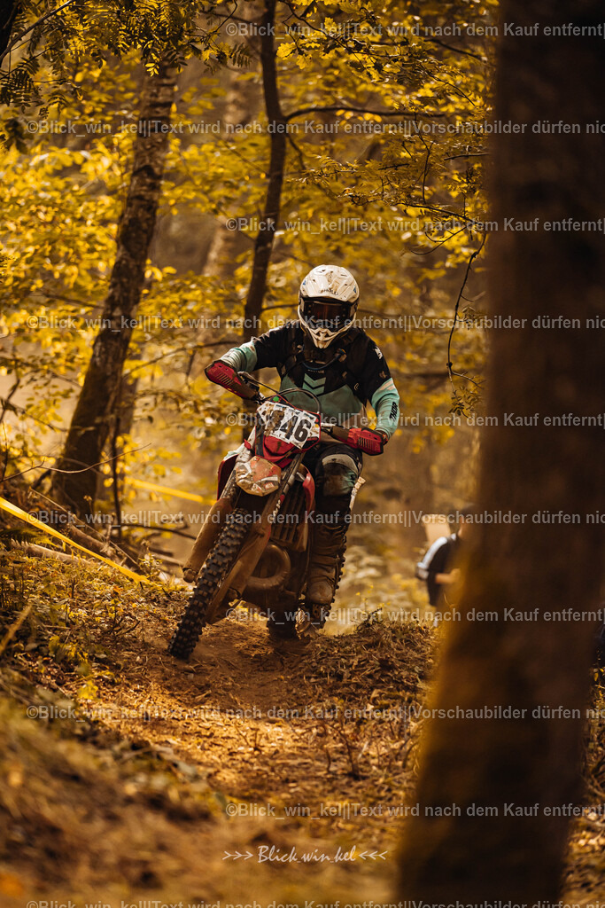 E68A4037 | blick_win_kel