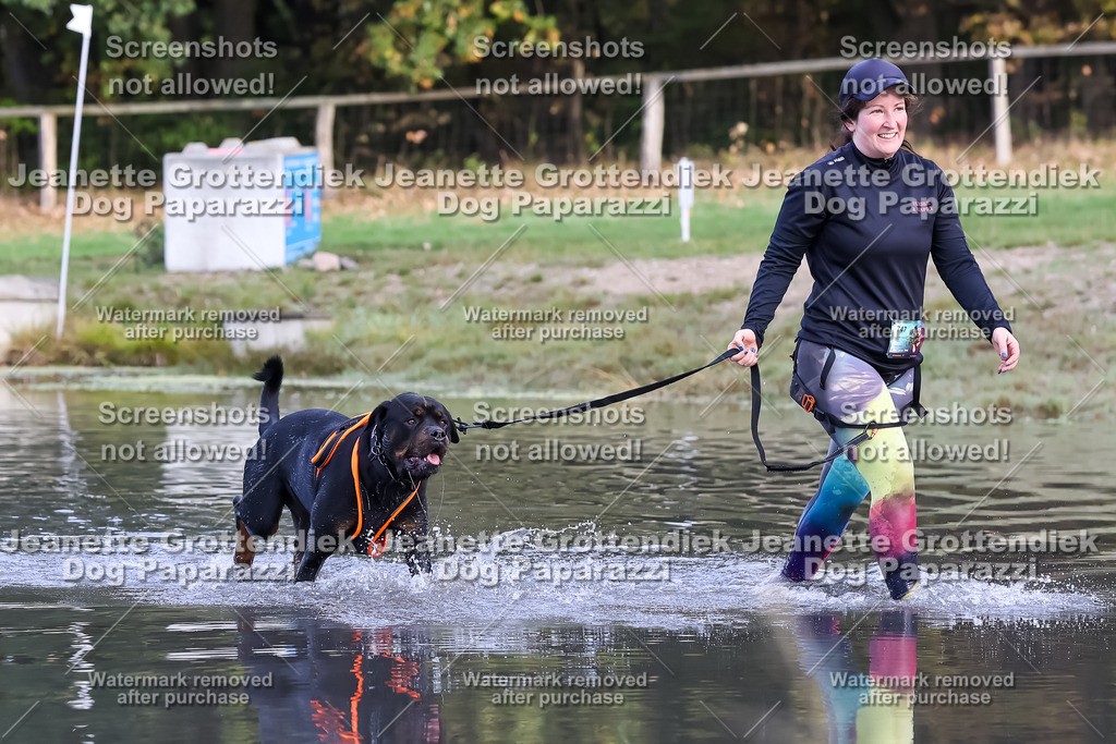 Dog Paparazzi - Strongdog 10-25-7004 | Dog Paparazzi Jeanette Grottendiek Fotografie & Videografie - Realisiert mit Pictrs.com