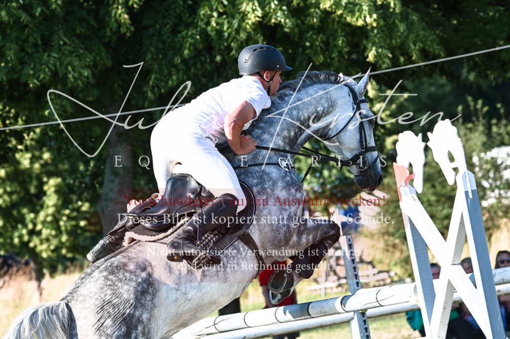 DSC_3063 | Pferde- und Turnierfotografie in Westsachsen. Pferdeportraits, Auftragszeichnungen und intuitive Kunst.