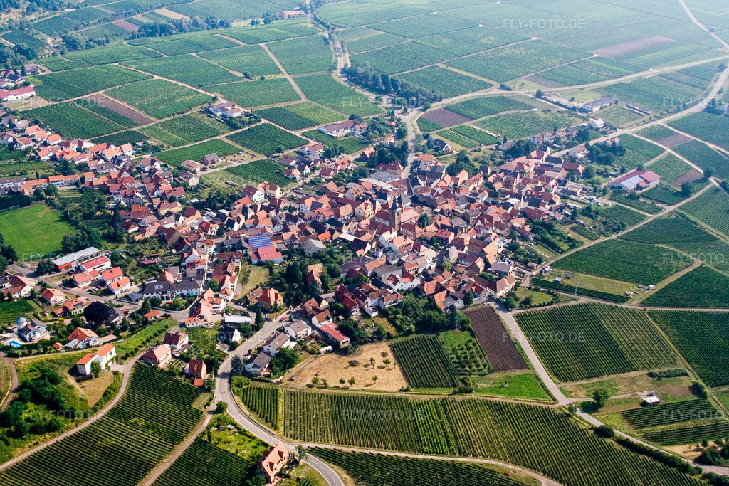 Luftbild: Winzerdorf zwischen Weinbergen in Frankweiler im Bundesland Rheinland-Pfalz in Deutschland. Foto: IMG_12148.jpg vom 31.07.2008 durch Werner Riehm/FLY-FOTO.de