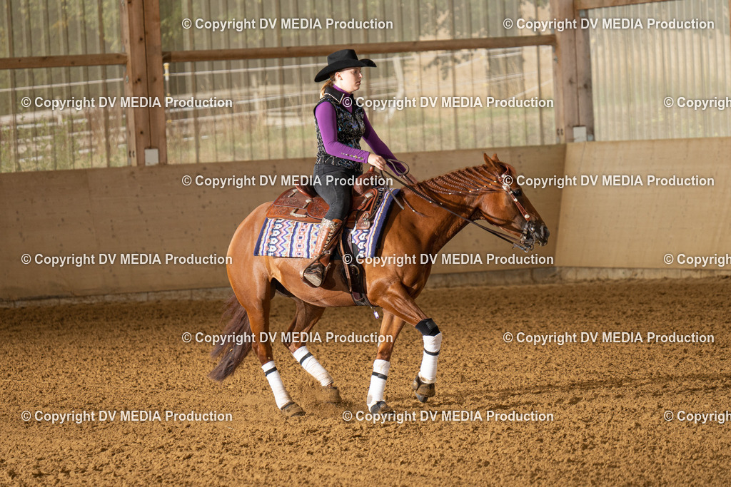 LAU01365 | dv-media-shop - Realisiert mit Pictrs.com