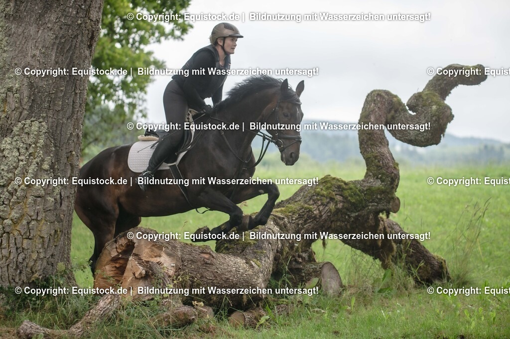 20250726_Vielseitigkeitslehrgang-Marbach_0451 | Foto: Thomas Hartig