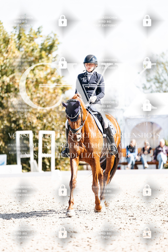CK902658 | Turnierfotografie Pferdefotografie Trier Rheinland-Pfalz Pferdesport Reitsport Tierfotografie Sportfotografie Pferdevideo Pferdevideografie Equestrianvideography equestrianphotography  - Realisiert mit Pictrs.com
