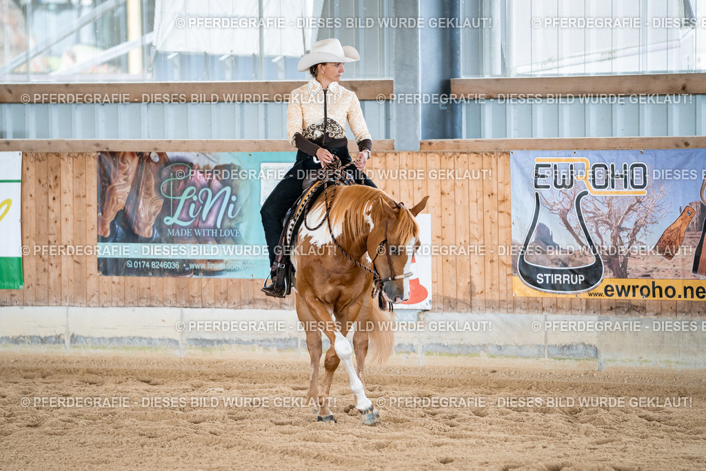 DSC02262 | Pferdegrafie