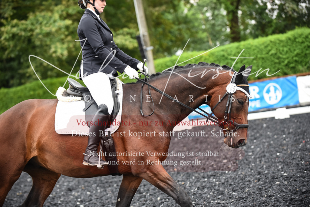 DSC_2719 | Pferde- und Turnierfotografie in Westsachsen. Pferdeportraits, Auftragszeichnungen und intuitive Kunst.