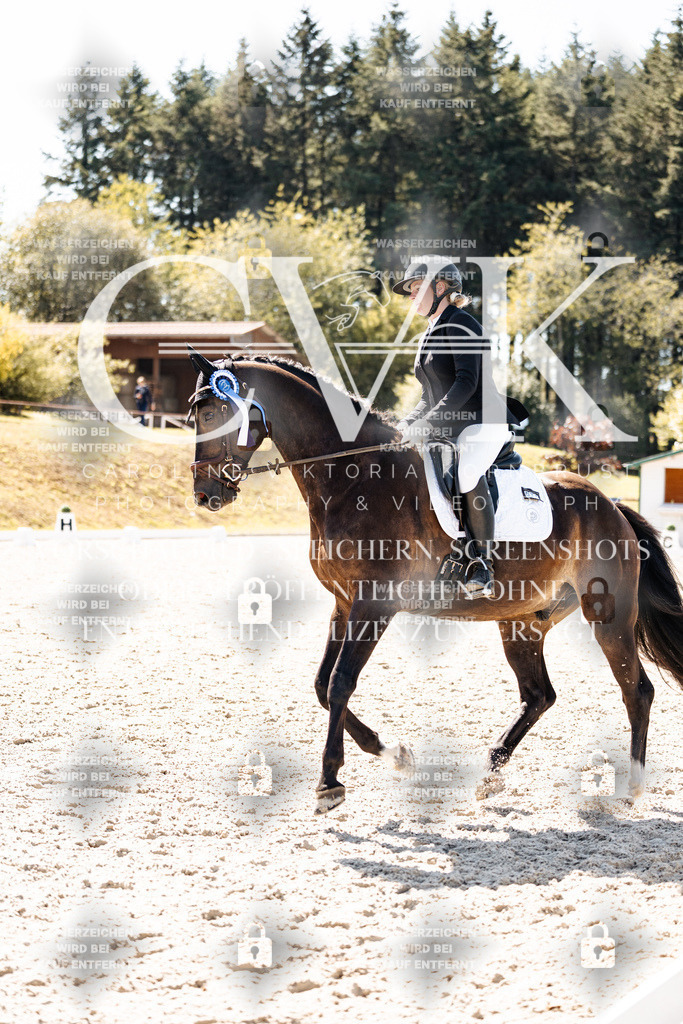 CK904234 | Turnierfotografie Pferdefotografie Trier Rheinland-Pfalz Pferdesport Reitsport Tierfotografie Sportfotografie Pferdevideo Pferdevideografie Equestrianvideography equestrianphotography  - Realisiert mit Pictrs.com