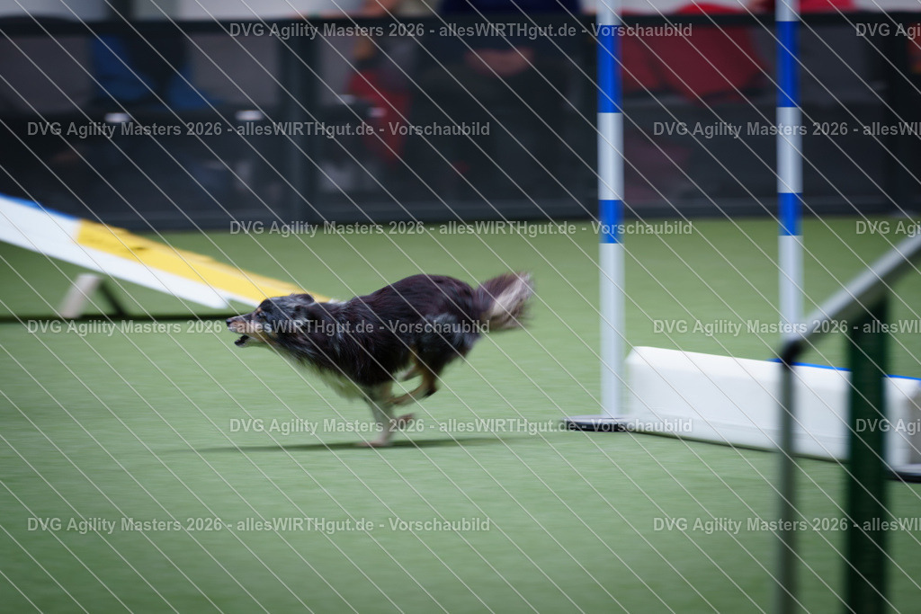 allesWIRTHgut_Tierfotografie-DVG_Agility_Masters_2026-13_47-7R503950 | Professionelle Tierfotografie in Mönchengladbach von Daniel Wirth (allesWIRTHgut). Liebevolle & natürliche Bilder von Hunden & Katzen für unvergessliche Erinnerungen.