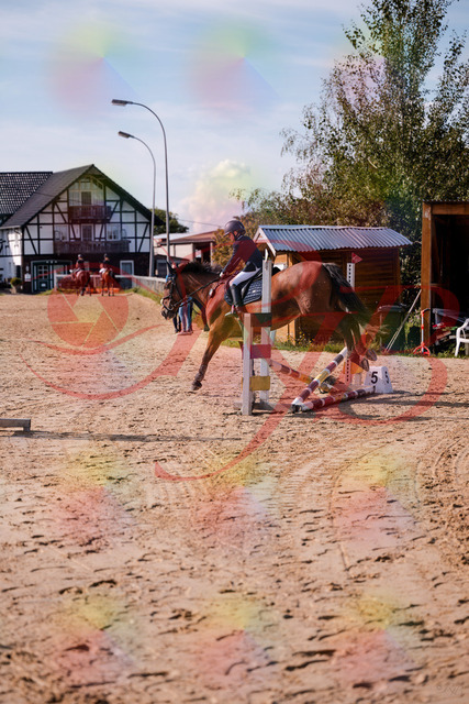 2026_10_03_Siefer-Hof_143825_Z81_08552932 | Professionelle Reitsport-, Turnier- und Eventfotografie von Robert Broda. Galerien mit ausgewählten und bearbeiteten Bildern direkt online ansehen und bestellen.