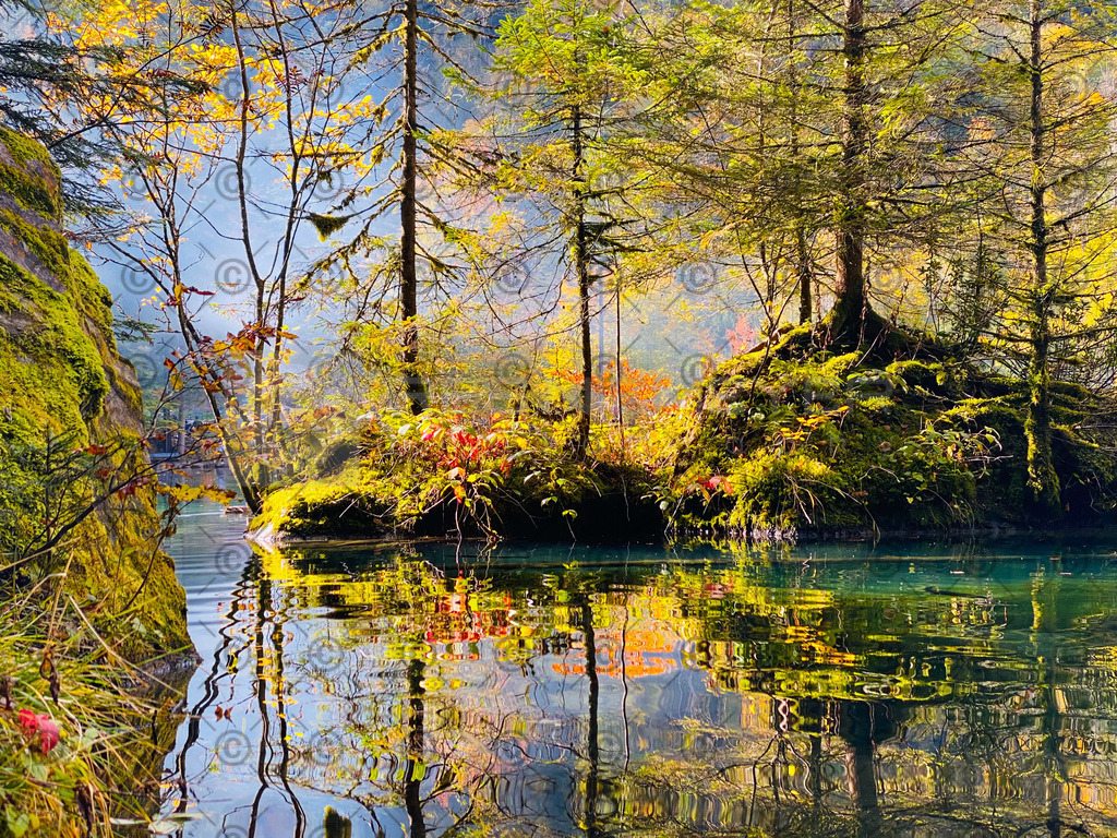 IMG_1262_jpg | Res Niemeyer Photography - Realisiert mit Pictrs.com