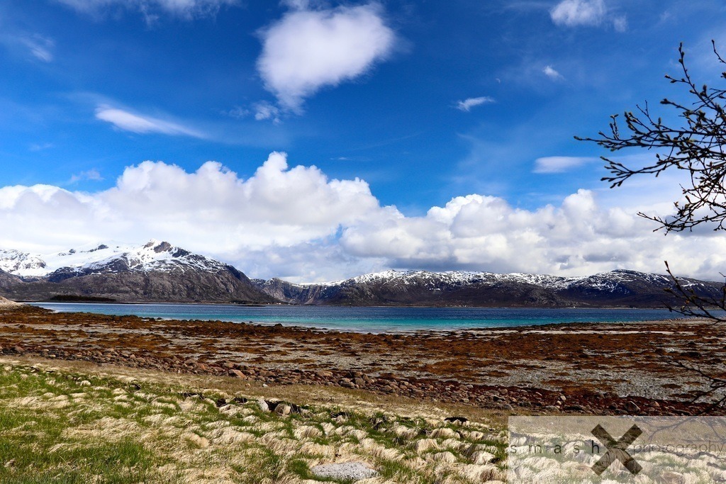 Colours of Nature | Lofoten (Norway/Norwegen)