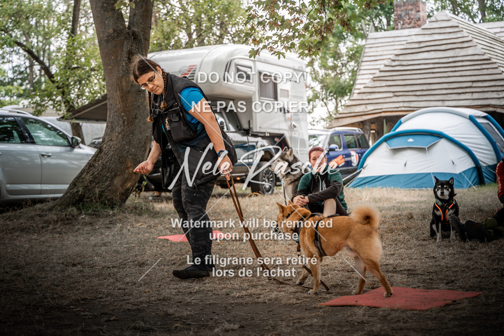 nelerasche_slaw24Fr1_429 | nelerasche