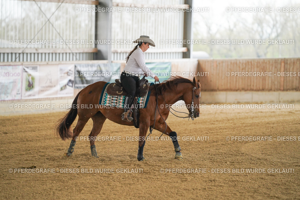 DSC07824 | Pferdegrafie