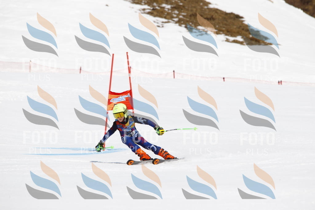 _U3G4162 | holidayphoto