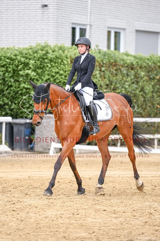 Schugtsche-Aluta25-43.EDressur -31 | Schugtsche Fotografie - Realisiert mit Pictrs.com