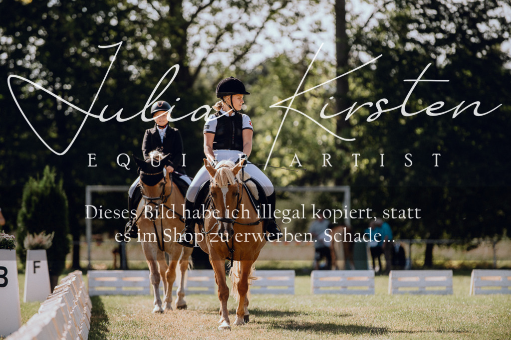 DSC_7120 | Pferde- und Turnierfotografie in Westsachsen. Pferdeportraits, Auftragszeichnungen und intuitive Kunst.