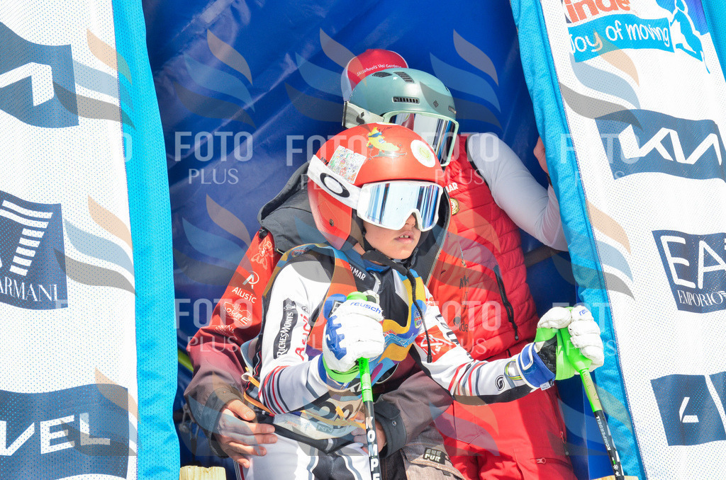 _ELE6914 | holidayphoto