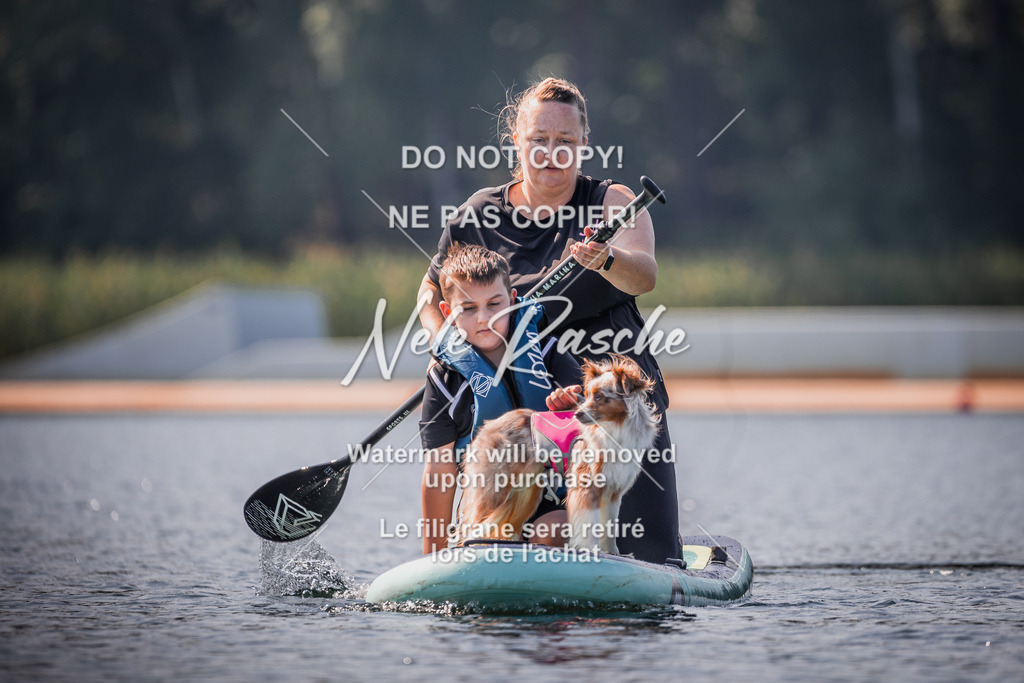 BUHU_SUP_278 | nelerasche