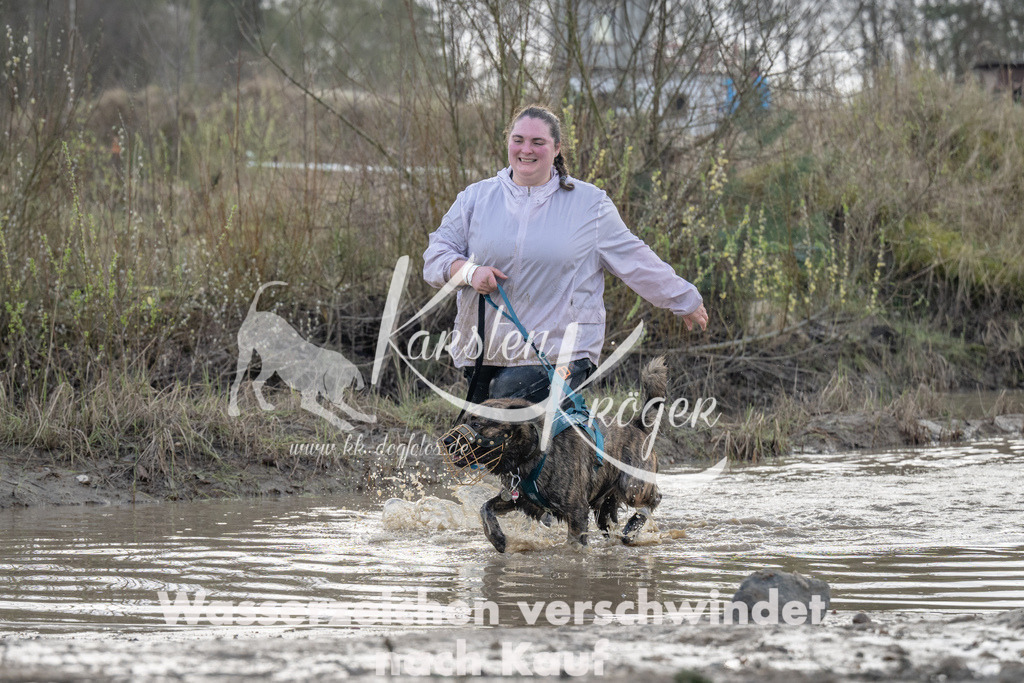 1019_ZZ94721 | kk-dogfotos