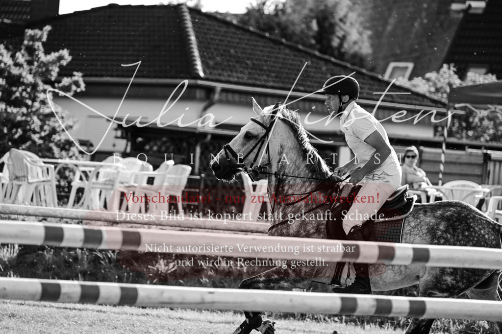 DSC_3057 | Pferde- und Turnierfotografie in Westsachsen. Pferdeportraits, Auftragszeichnungen und intuitive Kunst.