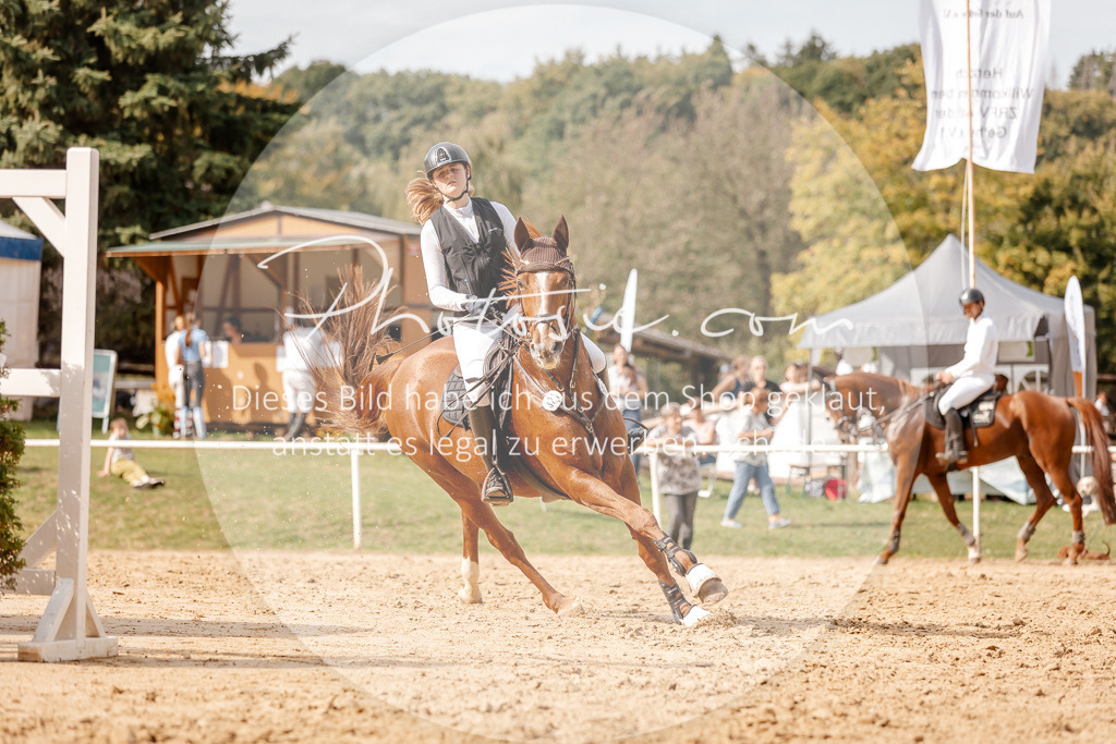 3I6A4593 | Stimmungsvolle Portraits und Reitsportfotografie im Ruhrgebiet und im Münsterland.

Pferdefotografie, Hundefotografie, Tierfotografie, Reportagen, Portraits von Tier und Mensch, Turnierfotografie in Bochum, Recklinghausen, Marl, Haltern am See, Dülmen.. - Realisiert mit Pictrs.com