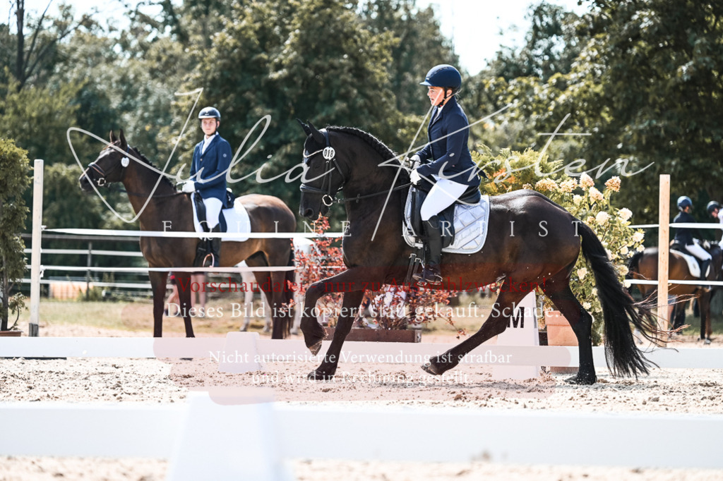 DSC_5405 | Pferde- und Turnierfotografie in Westsachsen. Pferdeportraits, Auftragszeichnungen und intuitive Kunst.