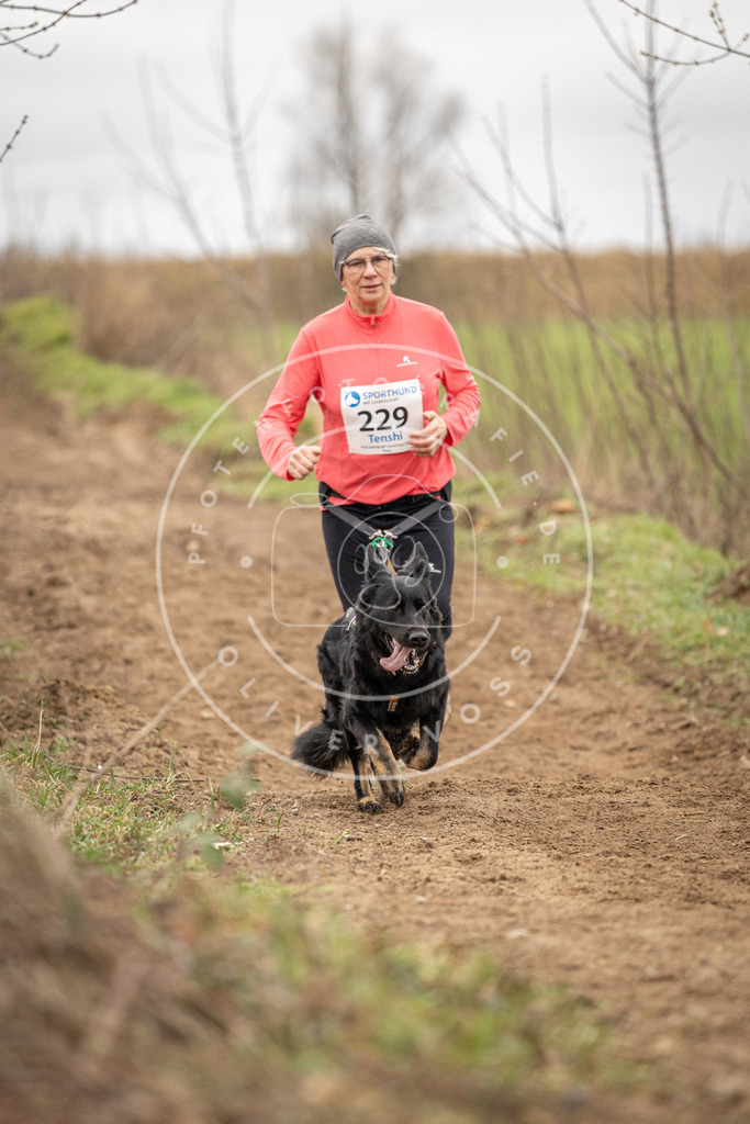 DV3A2746 | Hundefotografie, Tierfotograf, Pfotenfotografie, Fotoshooting Hund, Hunde Portrait, Hundesport, Hundeportraits, Heideshooting, Hunde, Sportfotograf, Hundefotograf, Turnierhundsport, THS,  - Realisiert mit Pictrs.com