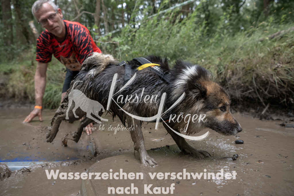 1328_ZZ94167 | kk-dogfotos
