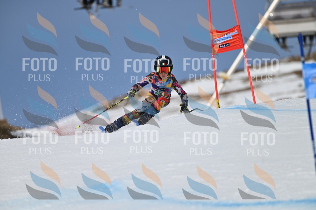 BGV_7042 | holidayphoto