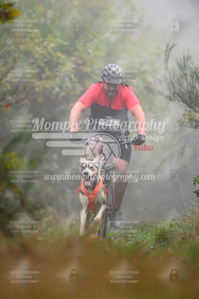 MompixPhotography_20TSB_E4_Bike-105 | PayLife