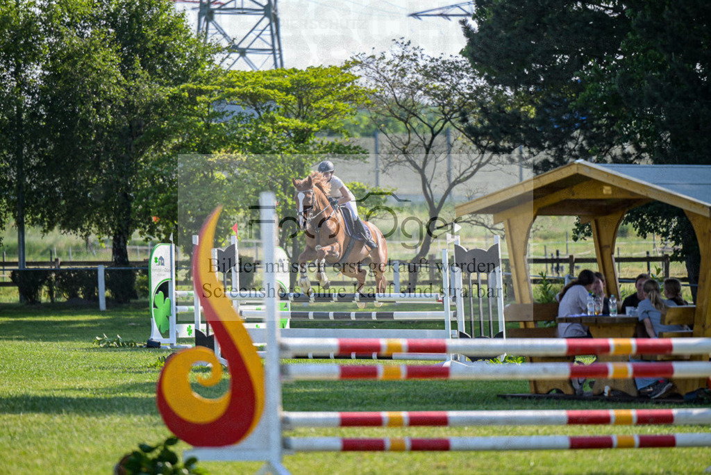 Reitturnier Voxtrup | Entdecke hochwertige Reitturnierfotos von Foto Oger. Professionell, emotional und authentisch – jetzt Lieblingsmomente im Shop bestellen.Deutschlandweite Turnierfotografie. - Realisiert mit Pictrs.com