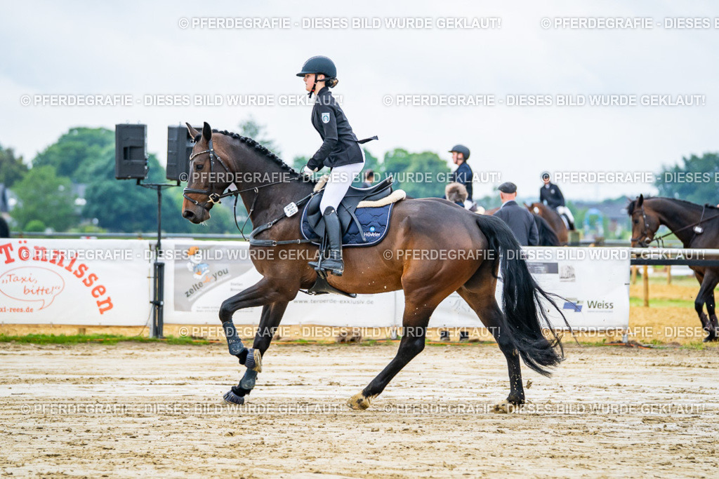 DSC01990 | Pferdegrafie