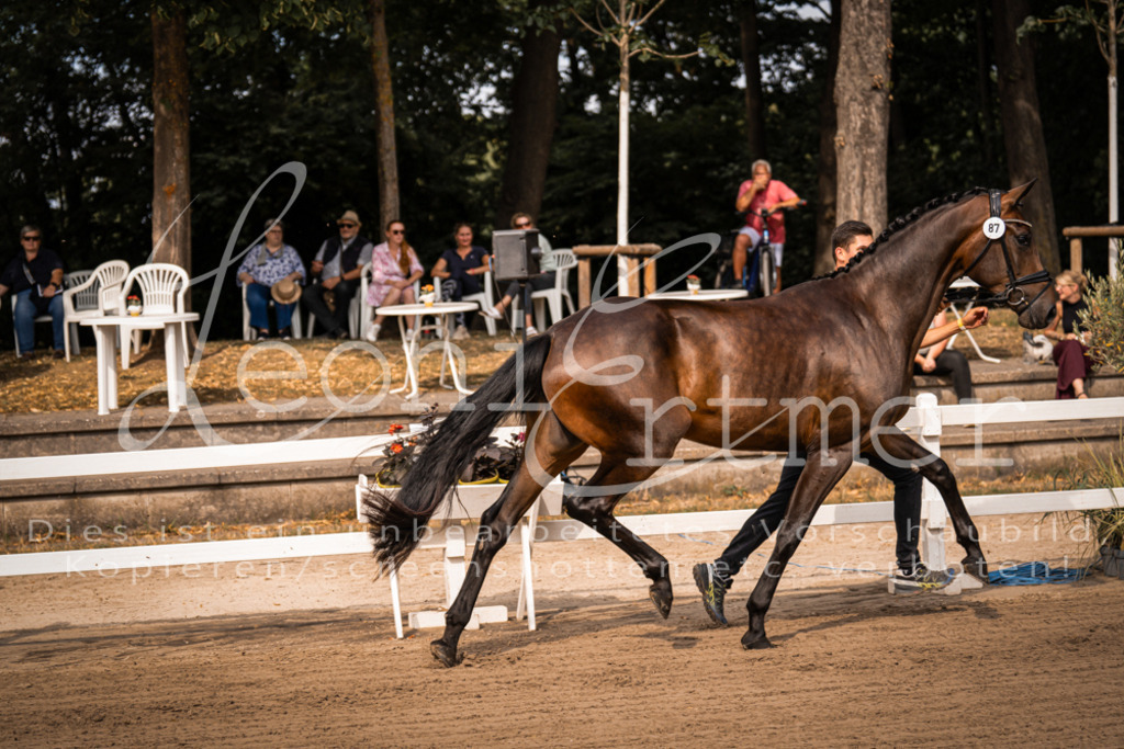 FrER00035 | Leoni Ertmer Photography - Realisiert mit Pictrs.com