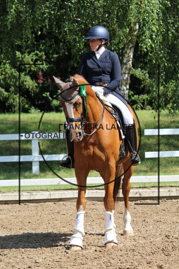 IMG_7281 | franziskalange - Realisiert mit Pictrs.com