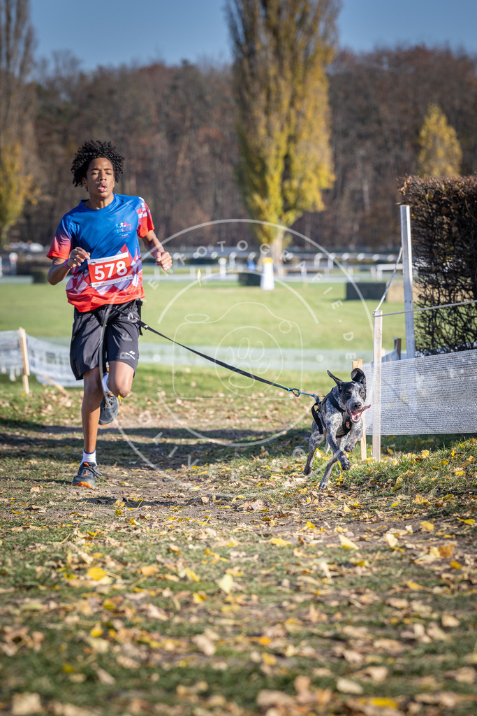 CaniXpix_DV3A9003 | Hundefotografie, Tierfotograf, Pfotenfotografie, Fotoshooting Hund, Hunde Portrait, Hundesport, Hundeportraits, Heideshooting, Hunde, Sportfotograf, Hundefotograf, Turnierhundsport, THS,  - Realisiert mit Pictrs.com