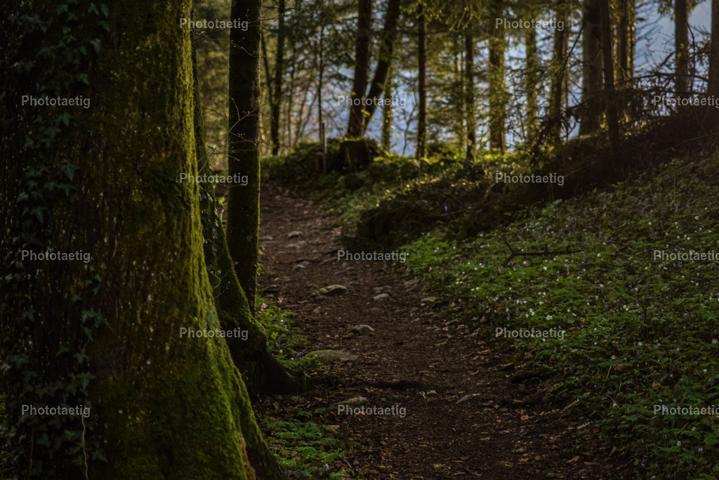 IMG_4144 | phototaetig