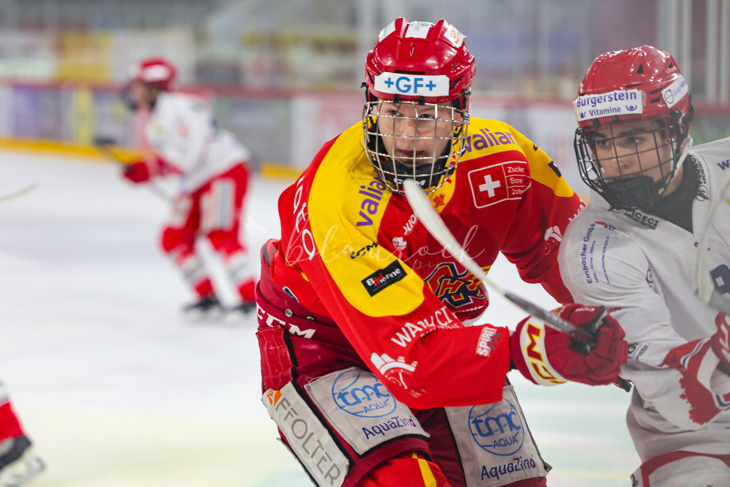 0316_WB_EHCB vs SCRJL_0421A | Sportbilder, Sportfotograf, Hochzeits- und Eventfotografin, Flugshows, Portraits und Tiershooting, Aviation, Downhill, Nationalleague, Swissleague, International