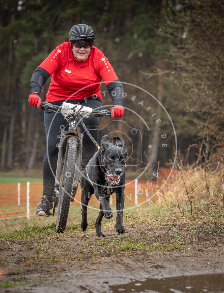 0L8A8873 | Hundefotografie, Tierfotograf, Pfotenfotografie, Fotoshooting Hund, Hunde Portrait, Hundesport, Hundeportraits, Heideshooting, Hunde, Sportfotograf, Hundefotograf, Turnierhundsport, THS,  - Realisiert mit Pictrs.com