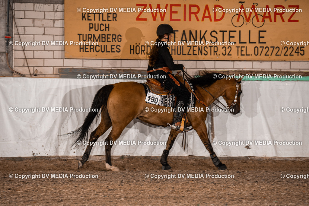 ZH300236 | dv-media-shop - Realisiert mit Pictrs.com