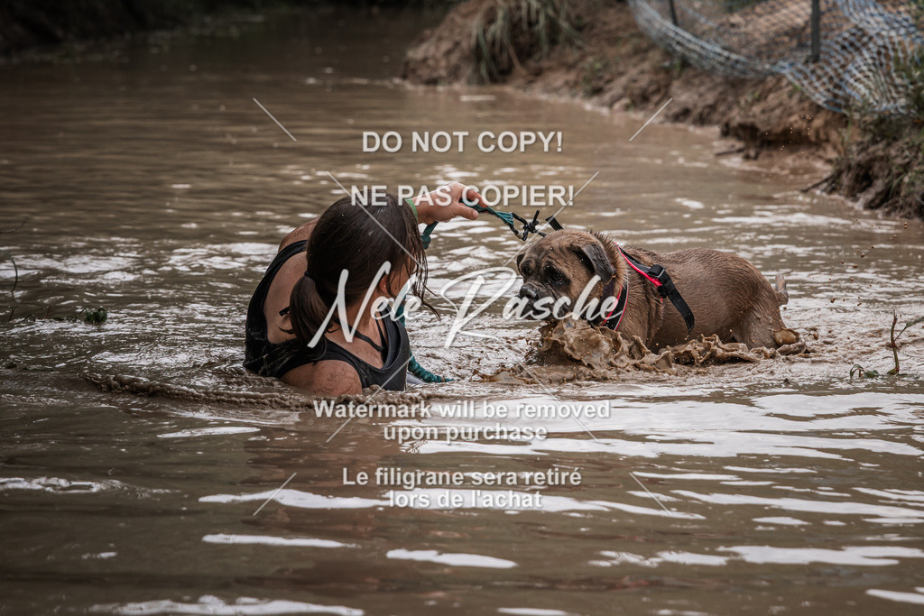 nelerasche_Hoope2026_So1200-1245_156 | nelerasche